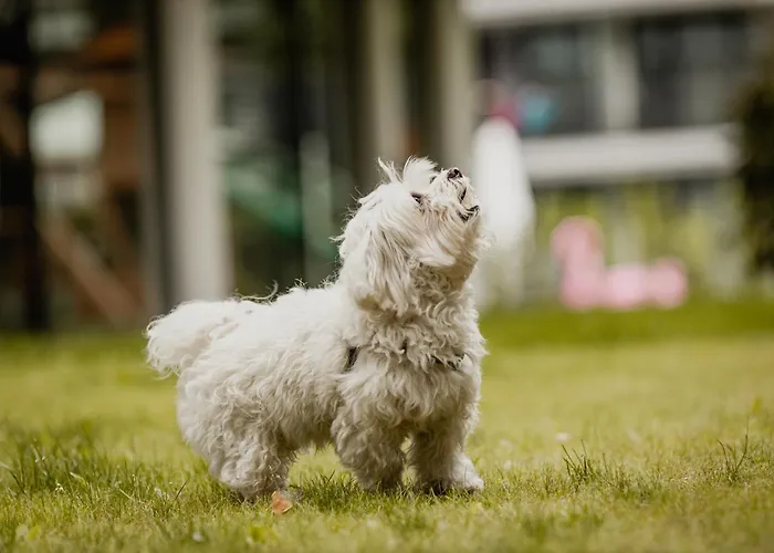 Bursztynowe Resort&spa شقة فندقية ستيغنا